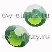 2058 ss 5 Palace Green Opal F